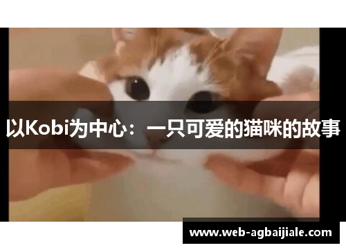 以Kobi为中心：一只可爱的猫咪的故事